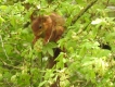 Photo nature