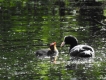 Photo nature