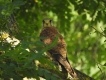 Photo nature