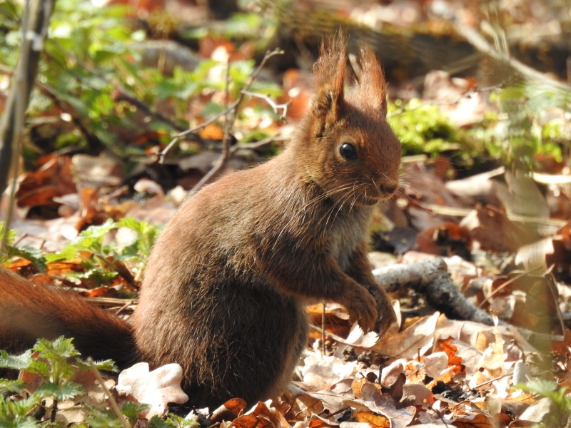 DSCN2205.JPG