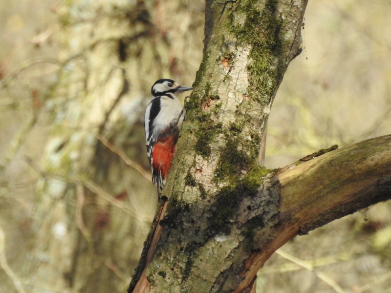 DSCN2287.JPG
