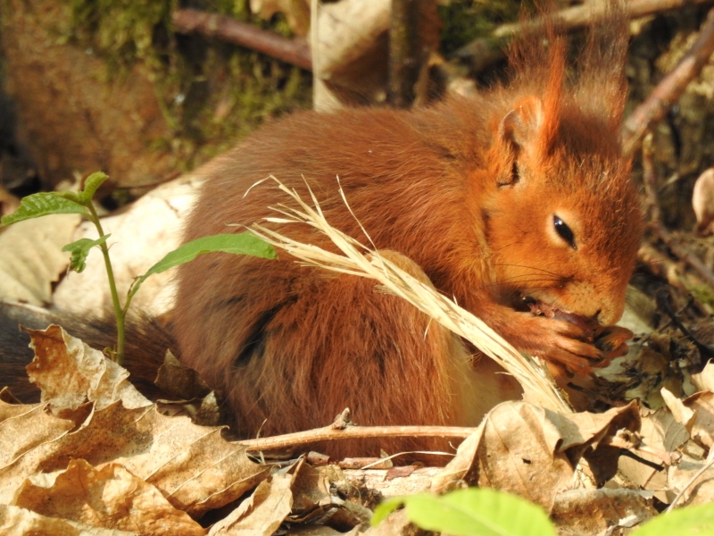 DSCN3190.JPG