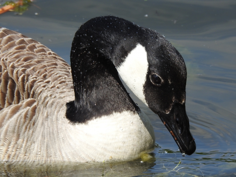 DSCN3670.JPG