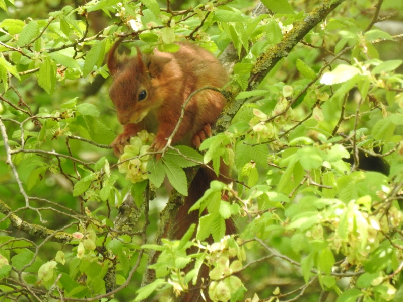 DSCN3685.JPG