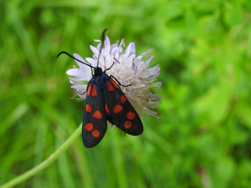 DSCN8798.JPG