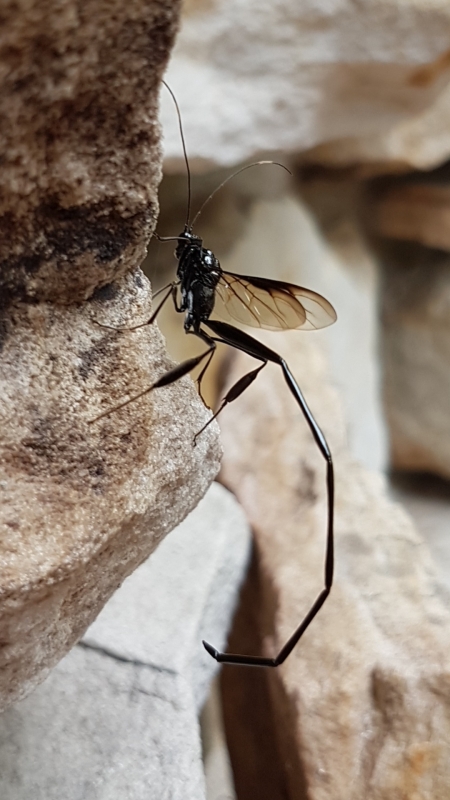 Screenshot_20190915-180251_Gallery.jpg