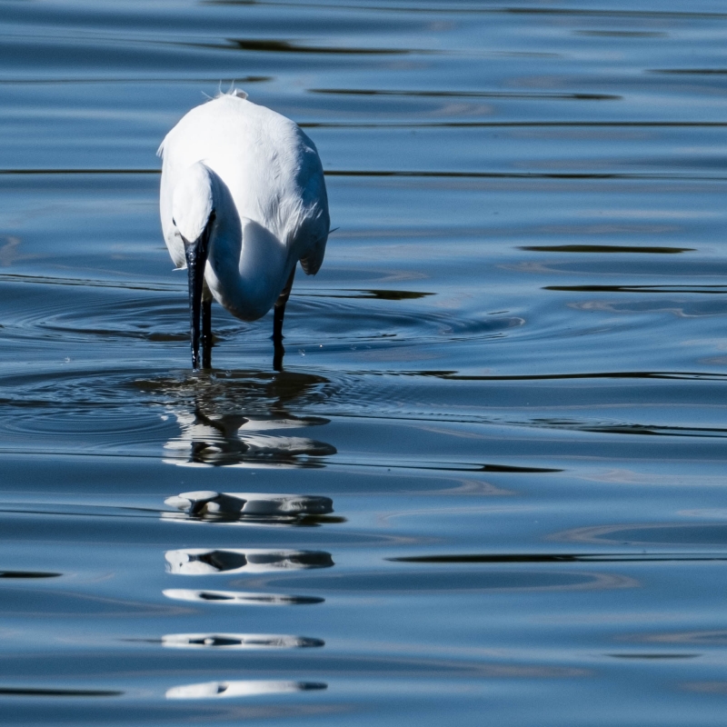 DSCF5155.jpg