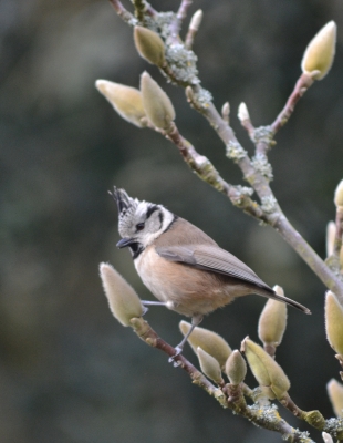 Photo nature