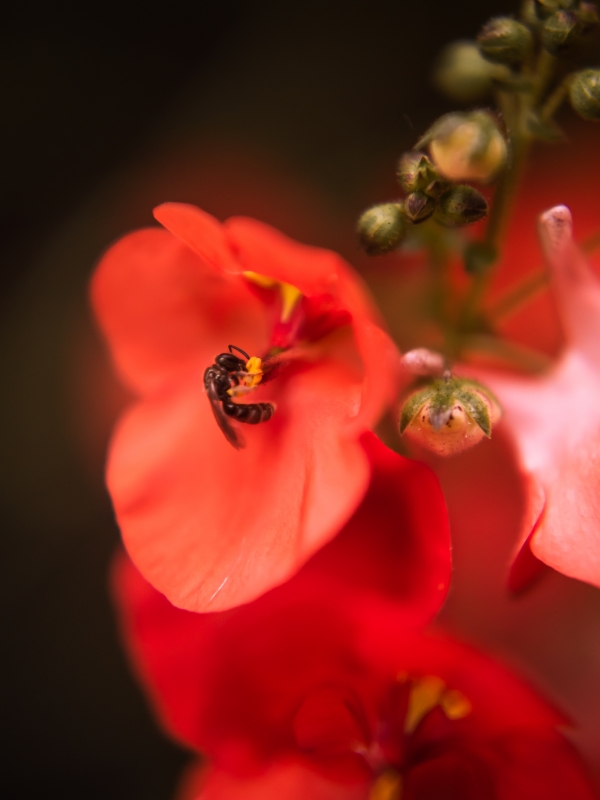 900B37EF-6A16-4195-9DD0-427000B172FD.jpeg