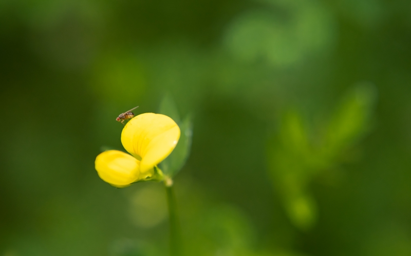 9240AF0C-93FB-4E10-B711-597956E4AEB3.jpeg