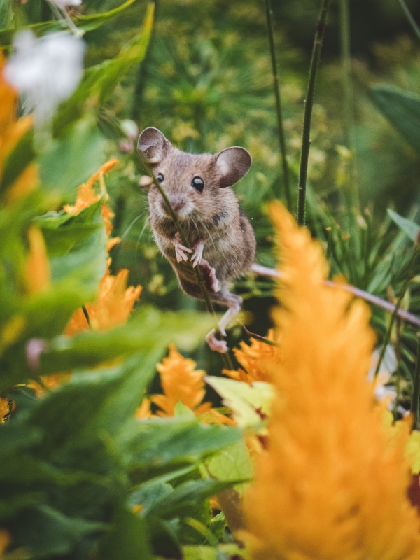 C40F63E2-8D6B-4235-A4E5-972AD52CFBAA.jpeg