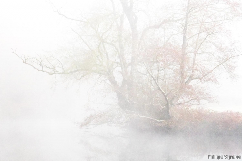 Photo Paysages naturels