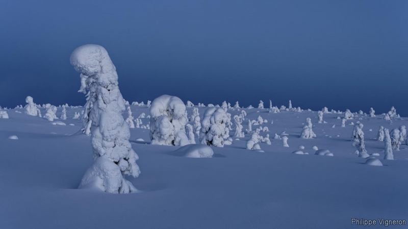 Photo Paysages naturels Riisitunturi