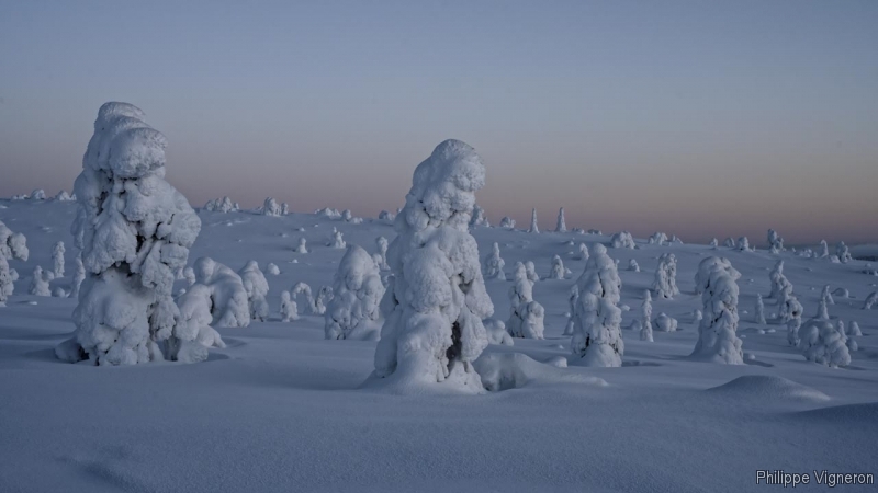 Photo Paysages naturels Riisitunturi