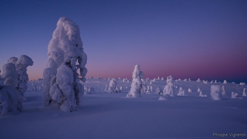 Photo Paysages naturels Riisitunturi