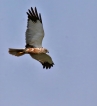 Photo nature