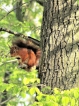 Photo nature