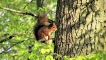 Photo nature