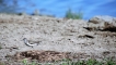 Photo nature