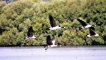 Photo nature