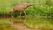 Photo nature