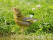 Photo nature