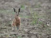 Photo nature