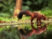 Photo nature