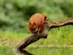 Photo nature