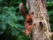 Photo nature