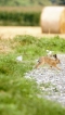 Photo nature