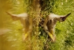 Photo nature
