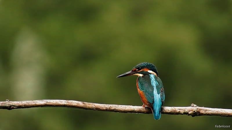 IMG_0689-DeNoiseAI-severe-noise-topaz-denoise-sharpen-lighting.JPG