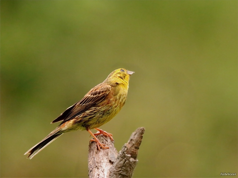 IMG_1288-topaz-denoise-sharpen-lighting.JPG
