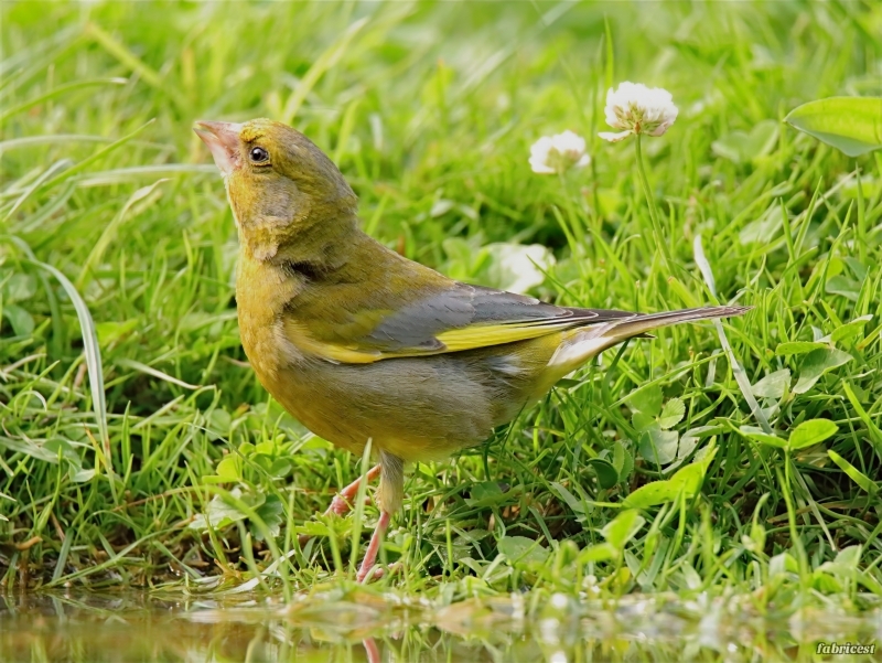 IMG_1653-topaz-denoise-sharpen-lighting.JPG