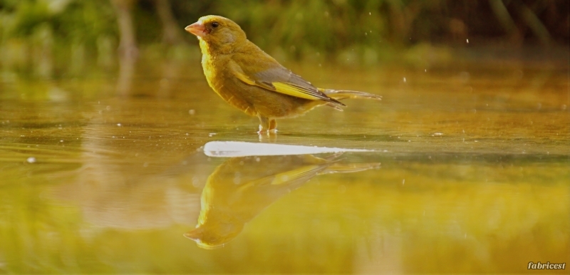_MG_3493-topaz-denoise-sharpen-lighting.JPG