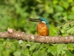 Photo nature