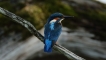 Photo nature