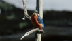 Photo nature