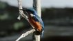 Photo nature