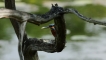Photo nature
