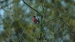 Photo nature