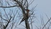 Photo nature
