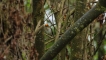 Photo nature