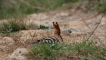 Photo nature