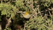 Photo nature