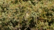 Photo nature