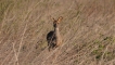Photo nature