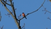Photo nature