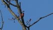Photo nature